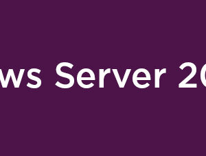 Lenovo ISG Windows Server 2025 CAL 5 User - Licencja Dostępu Klienta
