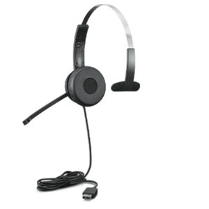 Lenovo 100 Mono USB Headset