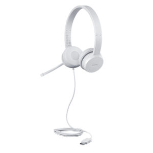 Lenovo GXD1E71385 słuchawki/zestaw słuchawkowy Przewodowa Nadgarstek Połączenia/muzyka USB Typu-A Szary