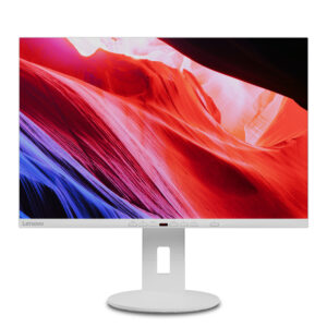 Lenovo C24d-20 monitor komputerowy 61 cm (24") 1920 x 1200 px Full HD LED Szary, Biały