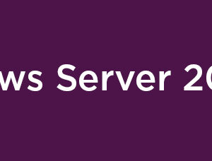 Lenovo Windows Server 2025 Remote Desktop Services Licencja dostępu klienta (CAL) Licencja